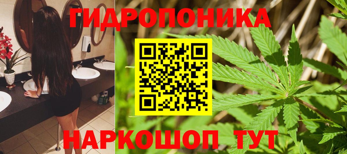 Шишки марихуана THC 21% Буйнакск
